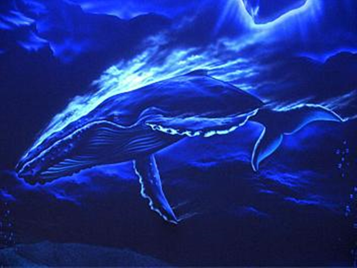 隐形壁画7.jpg
